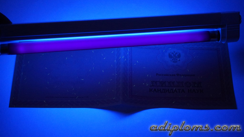 Диплом кандидата наук Фото Диплом кандидата наук Фото